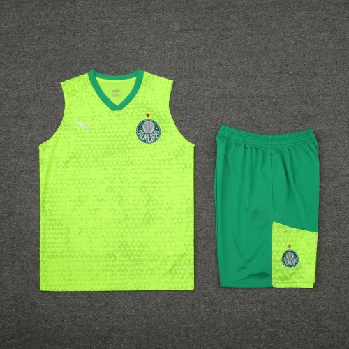 palmeiras 2024 training vest sets