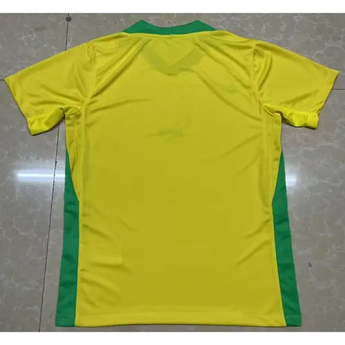 2025-26 Brazil home soccer jersey