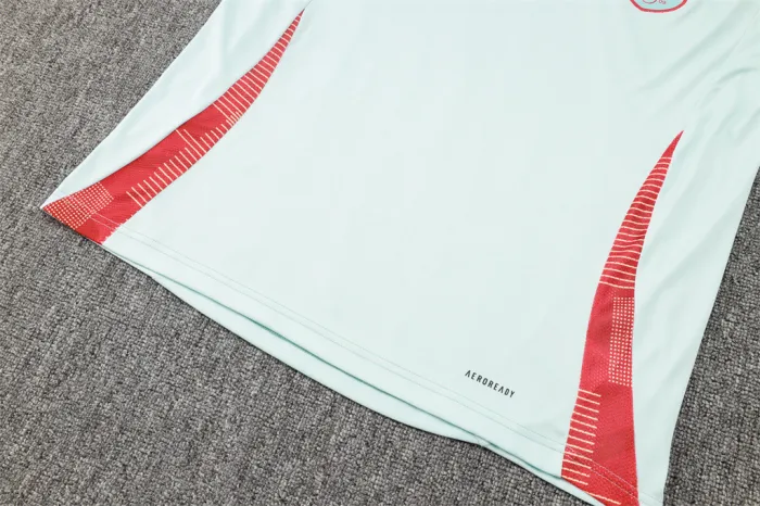 Spain Training Short sleeve Jersey 24/25