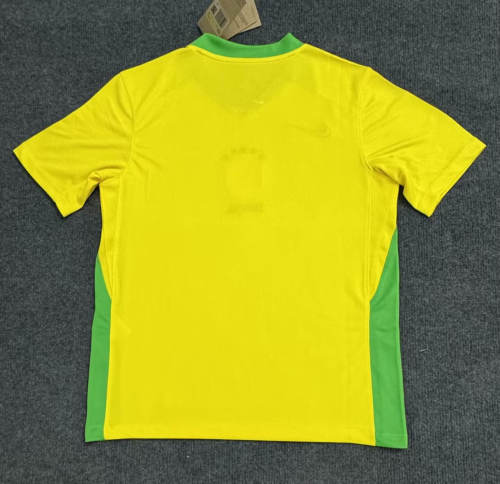 Brazil Women's Team 2025 Copa America Home Man Jersey