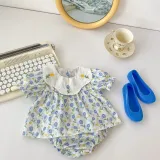Embroidered round neck doll shirt short sleeve + bread shorts two-piece set