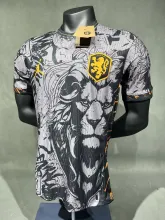 24-25 Netherlands Jordan Edition Player 1:1 Quality Soccer Jersey