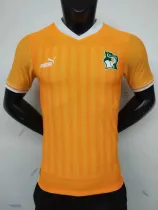 22-23 Cote d'Ivoire Home Player 1:1 Quality Soccer Jersey