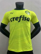 23-24 Palmeiras 2rd Away Player Version 1:1 Quality Soccer Jersey