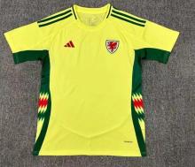 24-25 Wales Away Fans 1:1 Quality Soccer Jersey