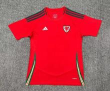 24-25 Wales Home Fans 1:1 Quality Soccer Jersey
