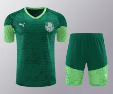 24-25 Palmeiras Green 1:1 Quality Training Jersey（A-Set）