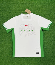 24-25 Nigeria Home Fans 1:1 Quality Soccer Jersey