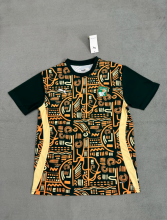 25-26  Cote d'Ivoire Training Clothes Fans  1:1 Quality Soccer Jersey