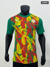 25-26  Senegal Training Cothes  Player  Soccer Jersey
