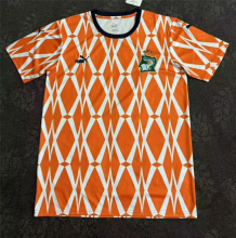 24-25  Cote d'Ivoire Stripe Special Edition  3-Stars Fans  1:1 Quality Soccer Jersey