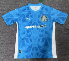 25-26  Palmeiras Goalkeeper  Fans 1:1 Quality Soccer Jersey