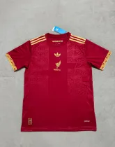 25-26 Mexico Special Edition  Red  Fans 1:1 Quality Soccer Jersey （刺绣）