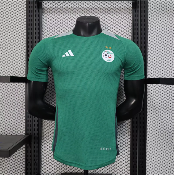 25-26   Algeria Green   Player 1:1 Quality Soccer Jersey