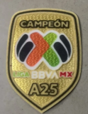 25-26  Club American Anniversary Edition  Fans 1:1 Quality Soccer Jersey