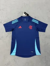 25-26 Flamengo  Training Clothes  Royal Blue  Fans 1:1 Quality Soccer Jersey