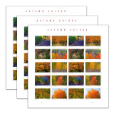 Autumn Colors