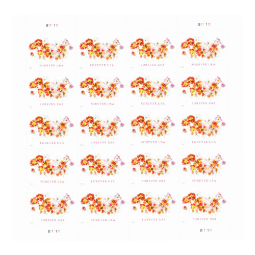Tulips 2022