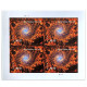 Spiral Galaxy