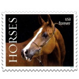 Horses
