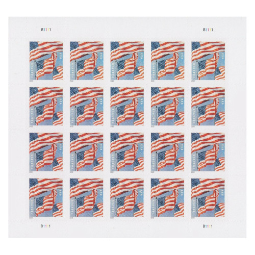 U.S. Flag 2022