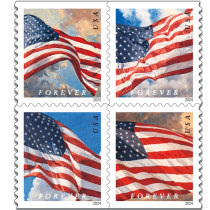 U.S. Flags 2024