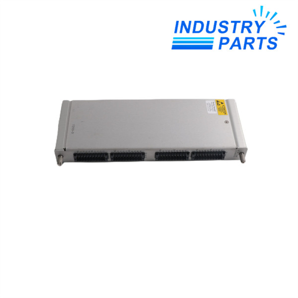Bently Nevada 172103-01 16 Channel Temp I/O Module