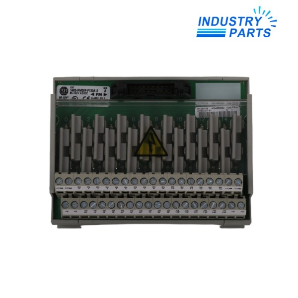 Allen-Bradley 1492-IFM20F-F120A-2 Feed-Through Termination Module