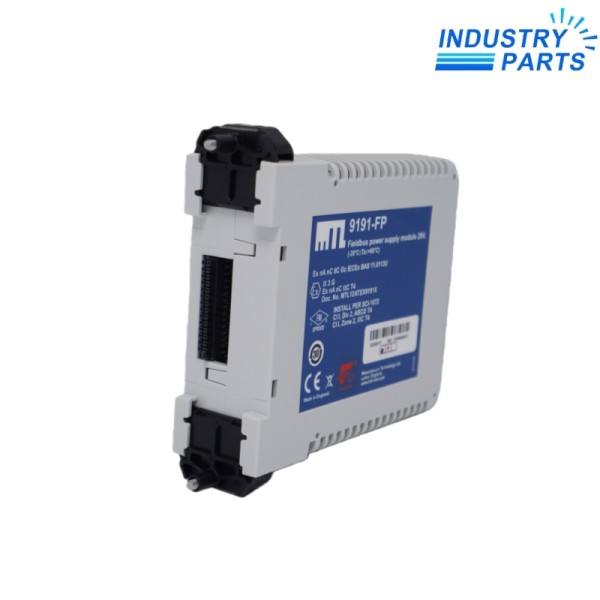 Emerson 9191-FP Module