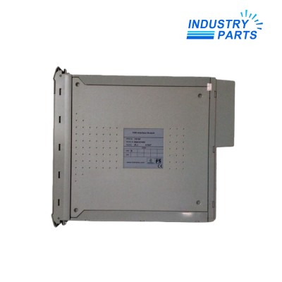 ICS Triplex T9902 Replacement Output Fuse 10A