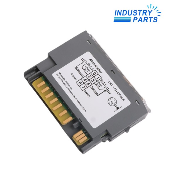 Allen-Bradley 1734-OE2C Point I/O 2 Point Analog Output Module
