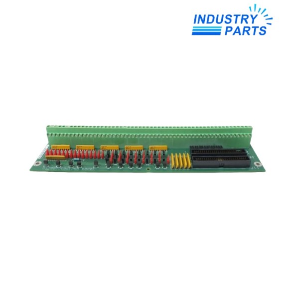 GE DS200TBCBG1AAA Terminal Board
