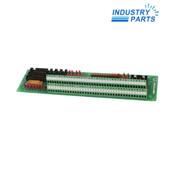 GE DS200TBQBG1ACB Input Termination Board