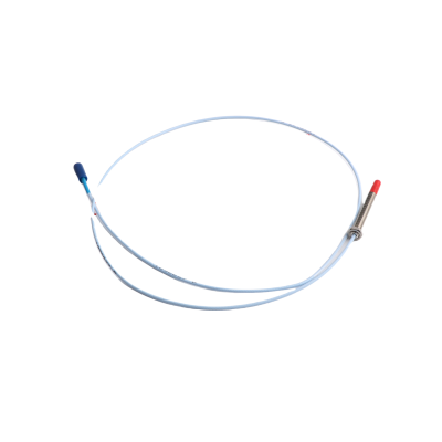 Bently Nevada | 330173-00-06-10-12-00   | 3300 5mm Probe