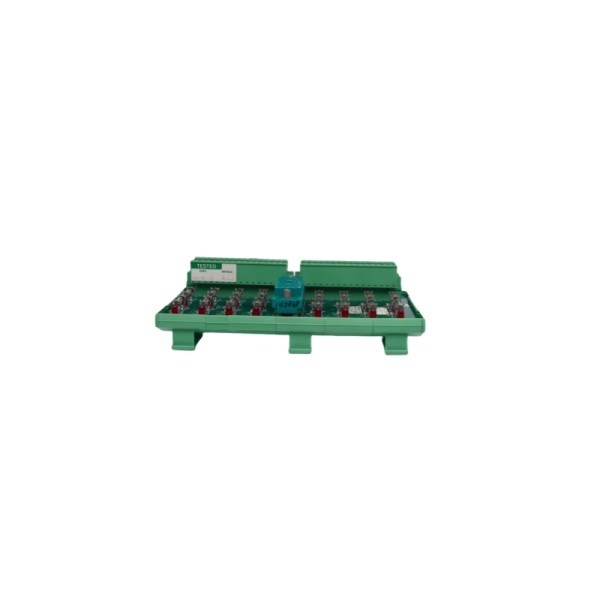 Triconex 7400169-310 9662-1XX • TERMINAL PANEL