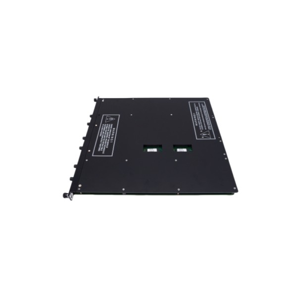 Triconex 4210 • Remote Extender Modules