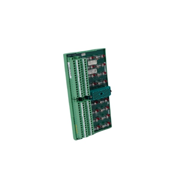 Triconex 7400169-310 9662-1XX • TERMINAL PANEL