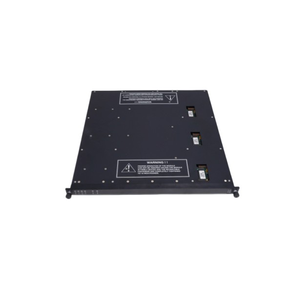 Triconex 3805E •Analog Output Modules