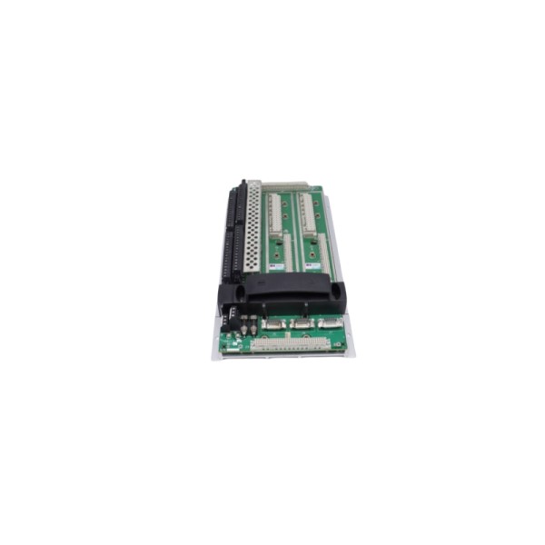 Triconex 7400213-100 • EXTENDER