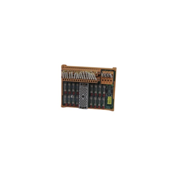 Triconex 9563-810 • Digital Input Termination Panel