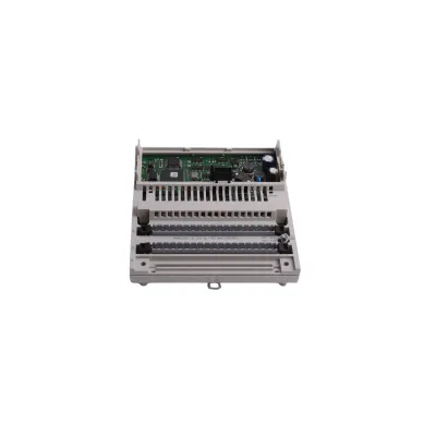 Schneider Electric | 170AAO92100 | distributed analog output module
