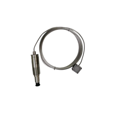 Bently Nevada | 330752-60-CN | High Temperature Velomitor System