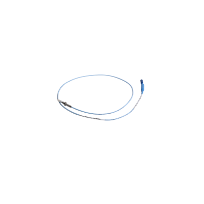 Bently Nevada | 330171-00-12-10-02-00 | 3300 5mm Proximity Probes