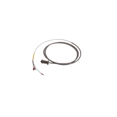 Bently Nevada | 16710-08 | Interconnect Cable with Armor
