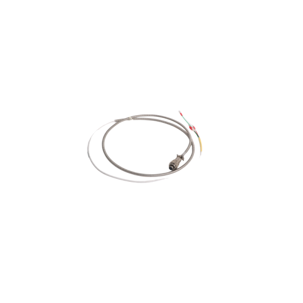Bently Nevada | 16710-06 | Interconnect Cable with Armor