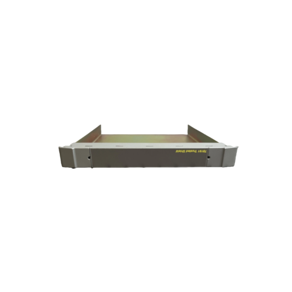 ICS Triplex | T8191 | Single Slot Module