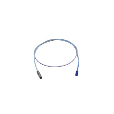 Bently Nevada |330196-05-30-10-CN |  Proximity Transducer System