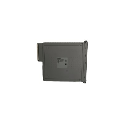 ICS |T8431CX  |   Analog Input Modules