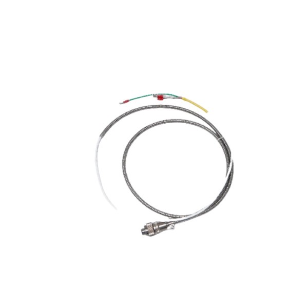 Bently Nevada | 16710-21 | Armored Interconnect Cable