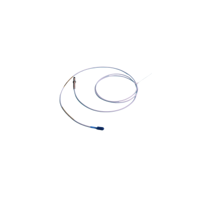 Bently Nevada |330101-00-61-20-02-05 | Proximity Transducer System